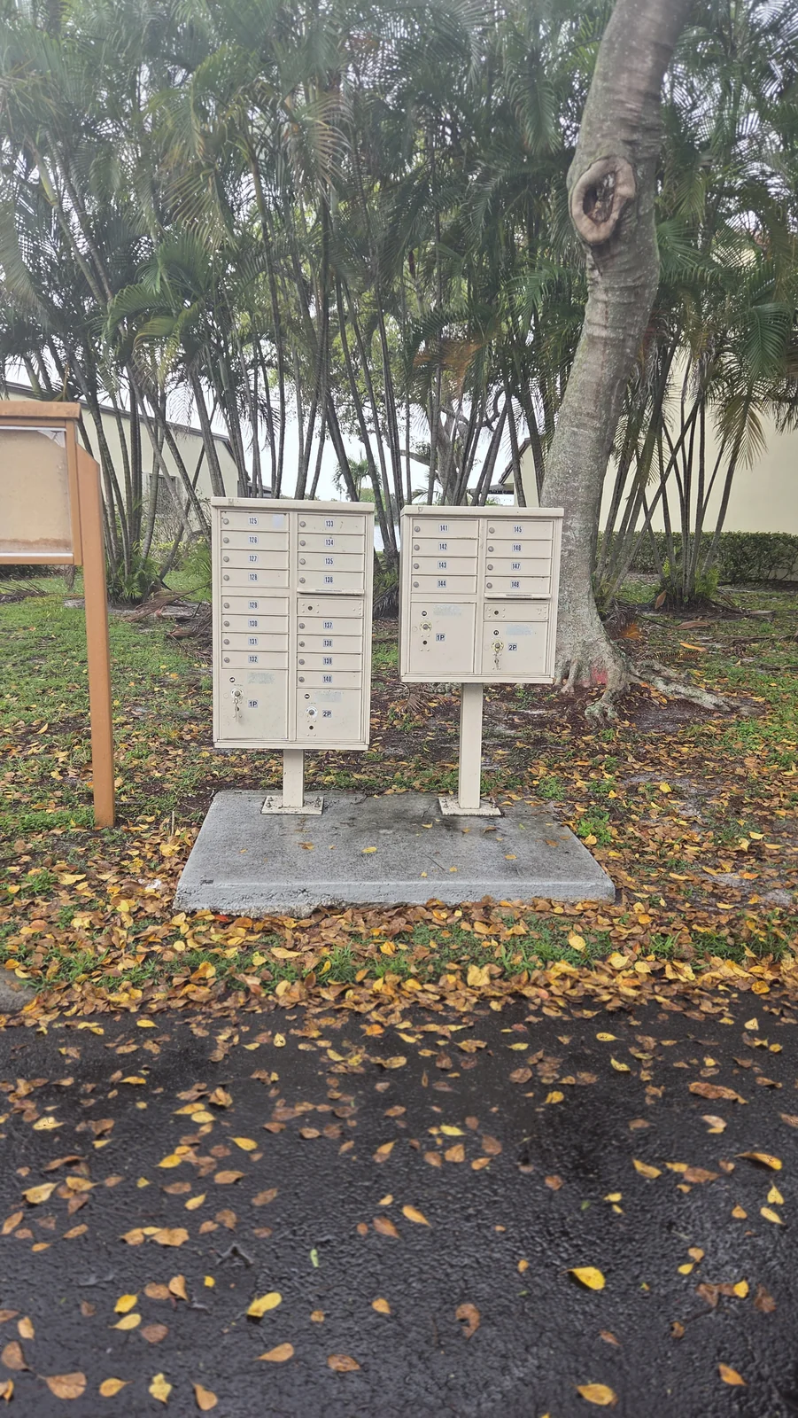 THCV · Mailbox area cleanup · Before